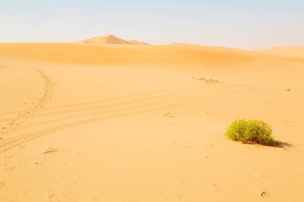 In oman old desert  rub al khali the empty  quarter and outdoor — Stock Photo, Image