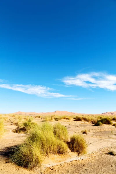 Góra stary kopalnych na pustyni, Maroko, sahara i rock s — Zdjęcie stockowe