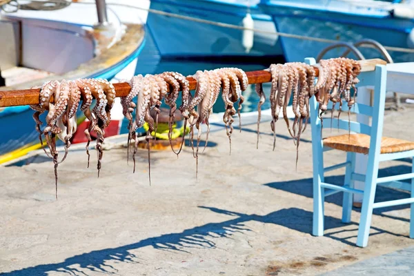 Chobotnice, sušení v Evropě slunce Řecko santorini a světlo — Stock fotografie