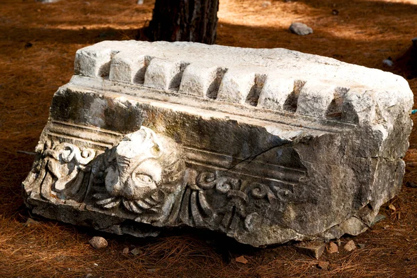  phaselis Tapınağı Türkiye Asya eski sütun mahvetti ve taş yok