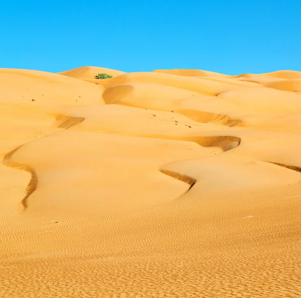 Empty Quarter Outdoor Sand Dune Oman Old Desert Rub Khali — Stock Photo, Image