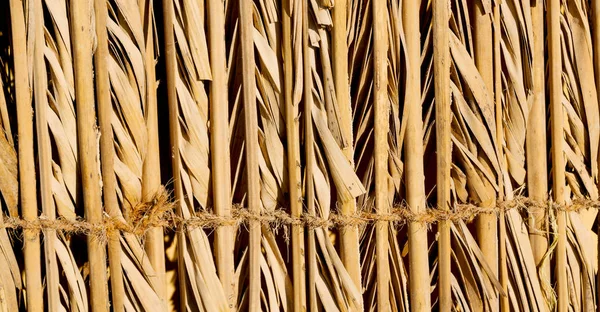 En oman textura abstracta de un fondo de pared de bambú — Foto de Stock