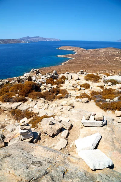 Planta em delos greece a acrópole histórica e velha ruína sentar — Fotografia de Stock