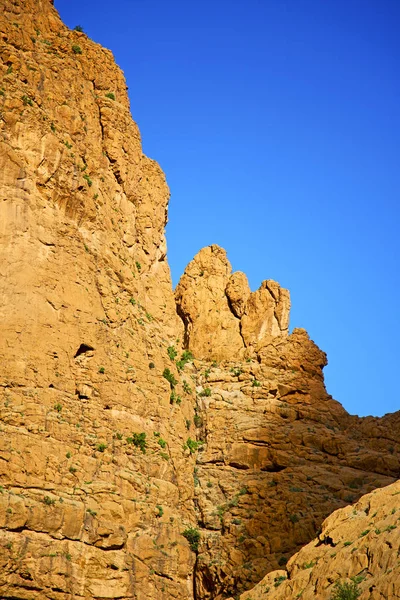 En todra africa marocco la montagne sèche — Photo