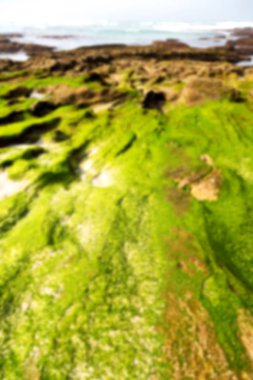  Güney Afrika gökyüzü okyanus yedek olarak