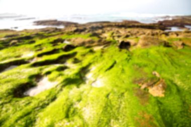  Güney Afrika gökyüzü okyanus yedek olarak