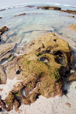  Güney Afrika gökyüzü okyanus yedek olarak