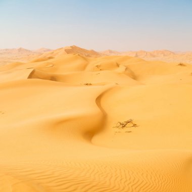 Umman eski çöl rub al hali boş çeyrek ve açık s