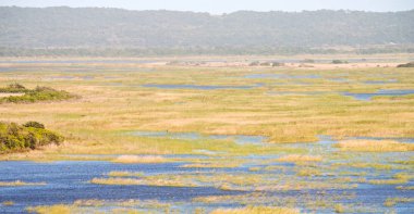 Güney Afrika su birikintisi Gölü isimagaliso tabiatı ve bush bulanıklık