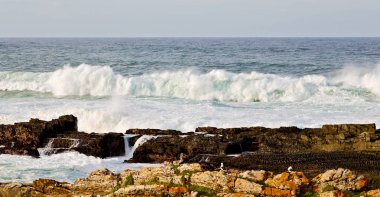  Güney Afrika 'da gökyüzü bulanık okyanus tsitsikamma doğa ve kaya rezervi