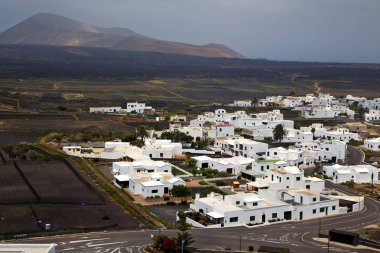 Şehir ekimi Anasayfa bağcılık şarapçılık lanzarote İspanya  