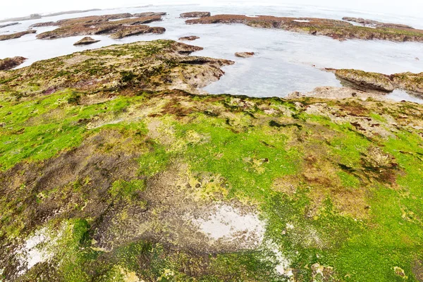 Im südafrikanischen Sky Ocean Reserve — Stockfoto