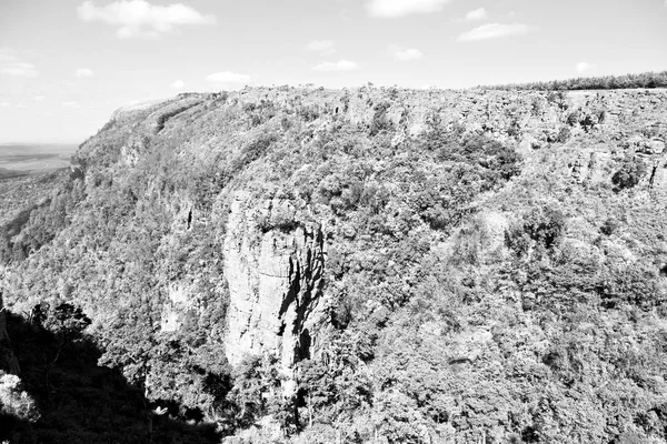 南アフリカ共和国の川渓谷の植物と水の — ストック写真