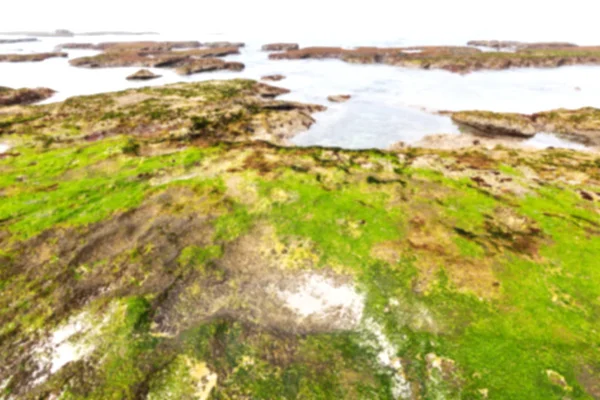 Im südafrikanischen Sky Ocean Reserve — Stockfoto