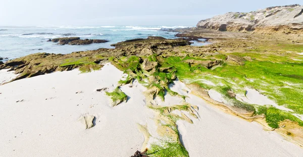 Sfocatura Sud Africa Cielo Oceano Hoop Riserva Natura Rocce — Foto Stock