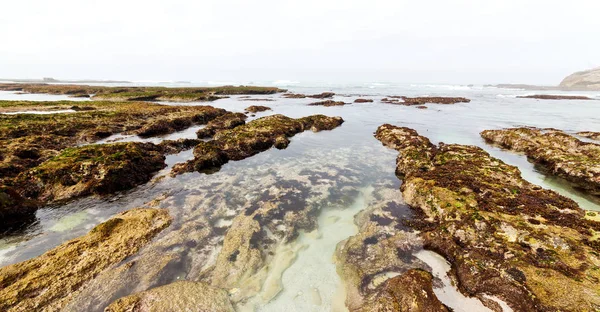 Desenfoque Sudáfrica Cielo Océano Hoop Reserva Naturaleza Rocas —  Fotos de Stock