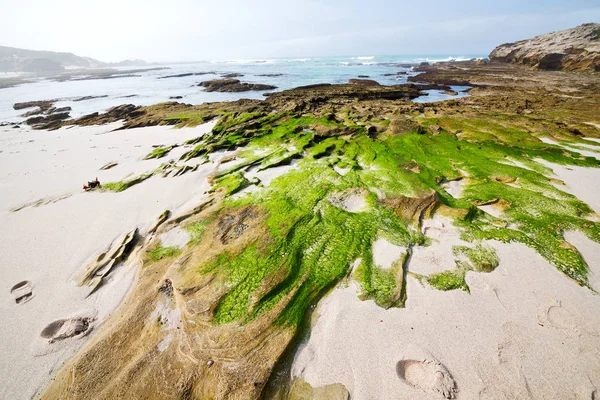 In Sudafrica riserva oceanica del cielo — Foto Stock