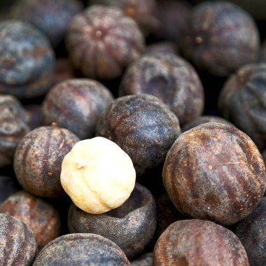  soyut desen kuru limon 