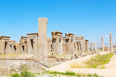 İran persepolis  