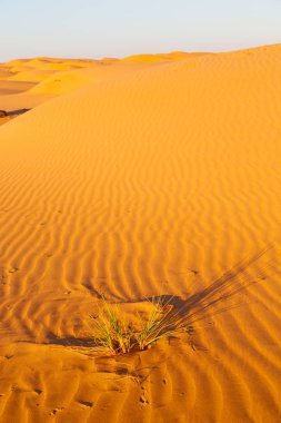 En düşük rub al hali boş çeyrek ve açık Umman eski çöl 