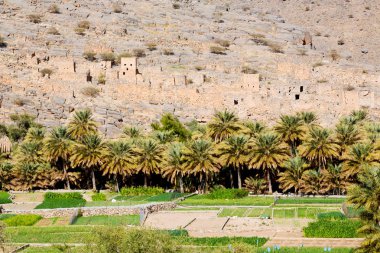 Umman eski dağ gorge  