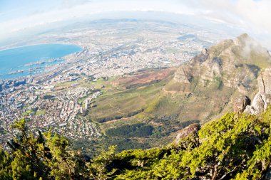 Güney Afrika cape town şehir manzarası içinde Masa Dağı