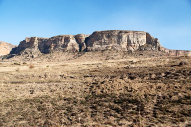   Güney Afrika'da kara çalı ve ağaç 
