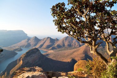   Güney Afrika nehir kanyonun bitki ve su   