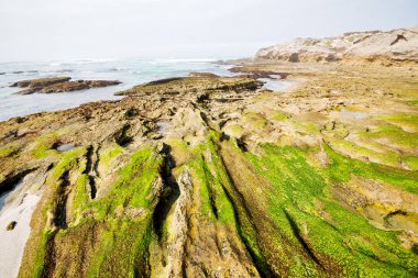  Güney Afrika gökyüzü okyanus yedek olarak