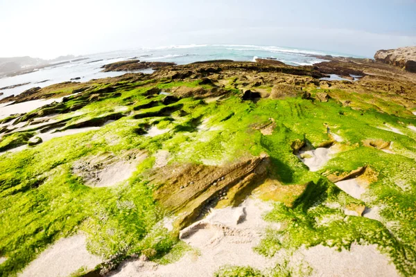 Na África do Sul céu oceano reserva — Fotografia de Stock