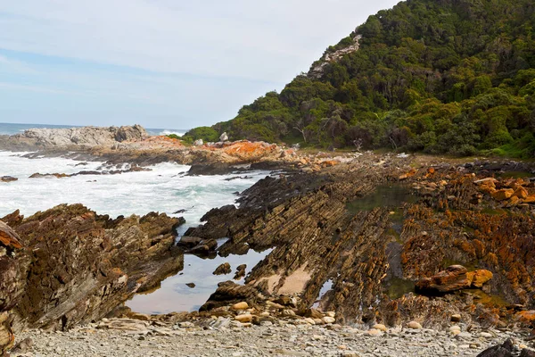 In south africa   sky  ocean      reserve — Stock Photo, Image