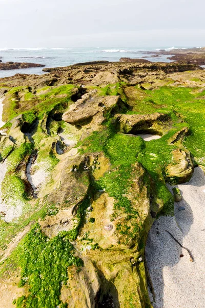 Im südafrikanischen Sky Ocean Reserve — Stockfoto