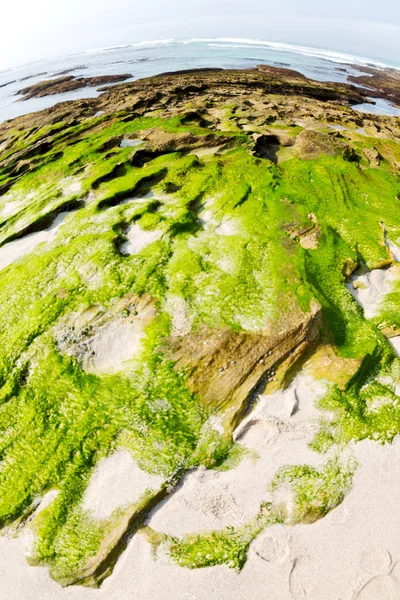 Na África do Sul céu oceano reserva — Fotografia de Stock