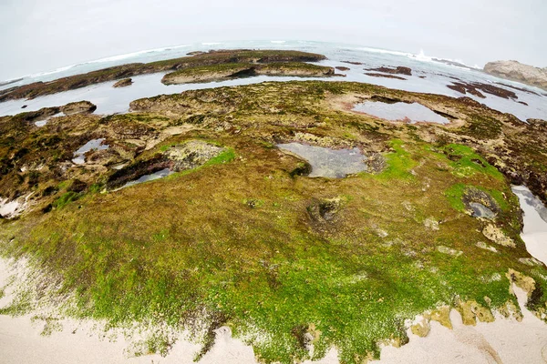 În Africa de Sud cer ocean rezervaţie — Fotografie, imagine de stoc