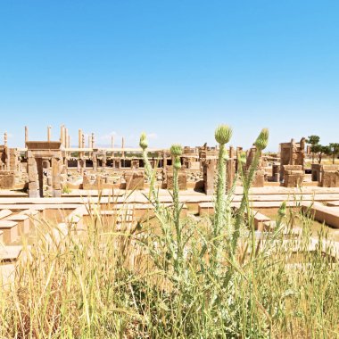 İran'da persepolis yakınındaki 