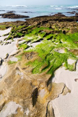 Güney Afrika gökyüzü okyanus de hoop rezerv doğa ve kayalar bulanıklık