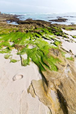 Güney Afrika gökyüzü okyanus de hoop rezerv doğa ve kayalar bulanıklık