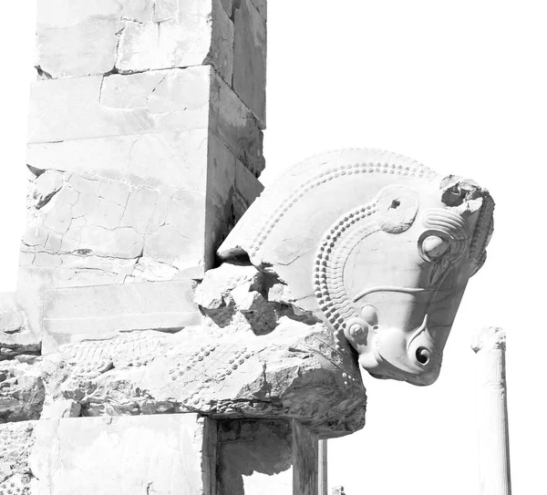 In iran persepolis — Foto Stock