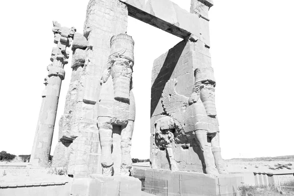 In iran     persepolis — Stock Photo, Image