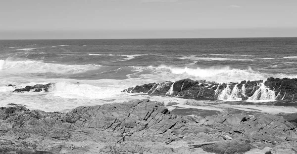 In south africa   sky  ocean       reserve — Stock Photo, Image