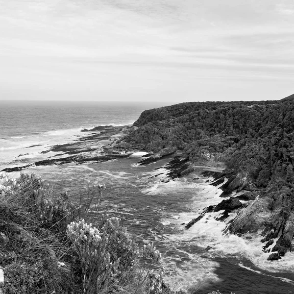 Sfocatura Sud Africa Cielo Oceano Tsitsikamma Riserva Natura Roccia — Foto Stock