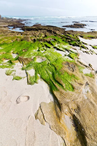 Sfocatura Sud Africa Cielo Oceano Hoop Riserva Natura Rocce — Foto Stock