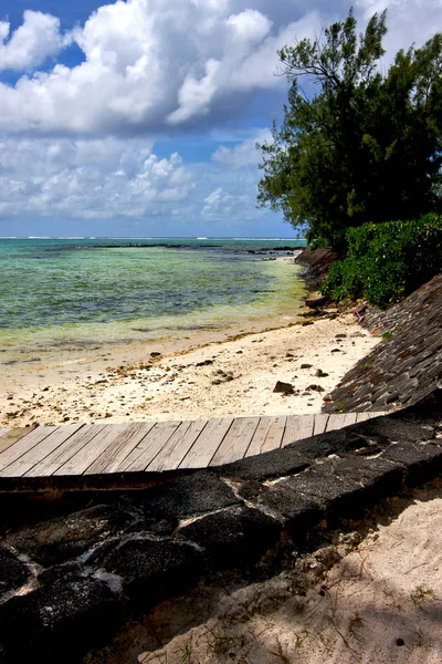 Muelle azul de espuma de laurel deus cocos en mauritius — Foto de Stock