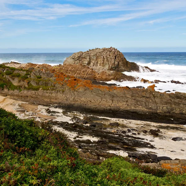 In Zuid-Afrika hemel Oceaan reserve — Stockfoto