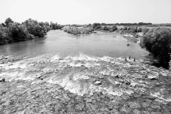 In de buurt van de rivier en de aard — Stockfoto