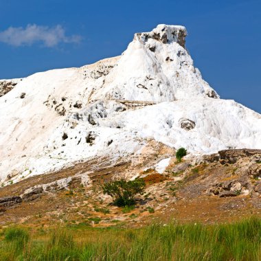 ağaç benzersiz soyut pamukkale Türkiye Asya eski calciu