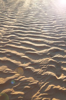 Umman soyut doku satırı dalga