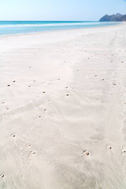 Umman sahil deniz ve plaj  