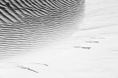 Umman eski çöl ve boş çeyrek soyut doku l