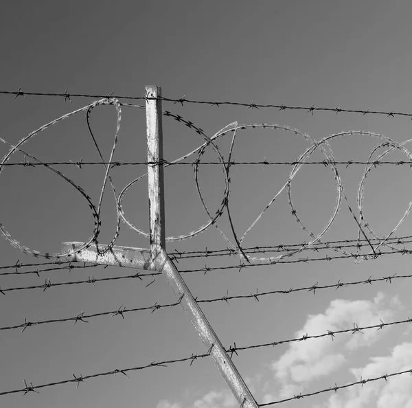 Em oman barbwire no fundo e céu nublado — Fotografia de Stock